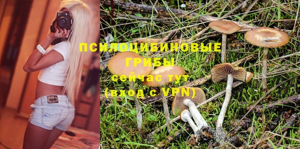 а пвп мука Алзамай