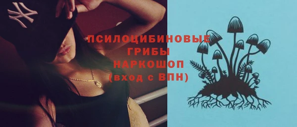PSILOCYBIN Алексеевка