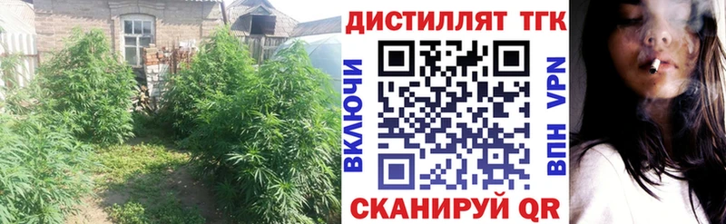 Купить закладки  Омск  Дистиллят ТГК THC oil 